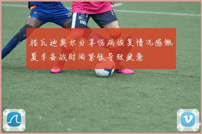 格瓦迪奥尔分享伤病恢复情况感慨夏季备战时间紧张导致疲惫
