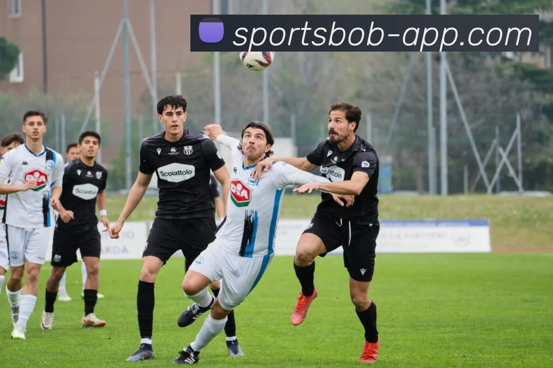 BOB体育平台生态图