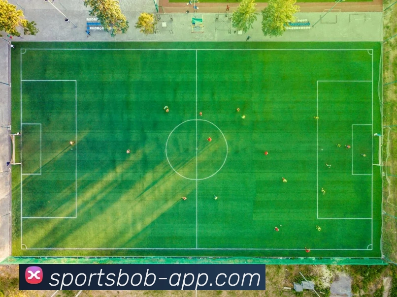 BOB体育APP 封面图